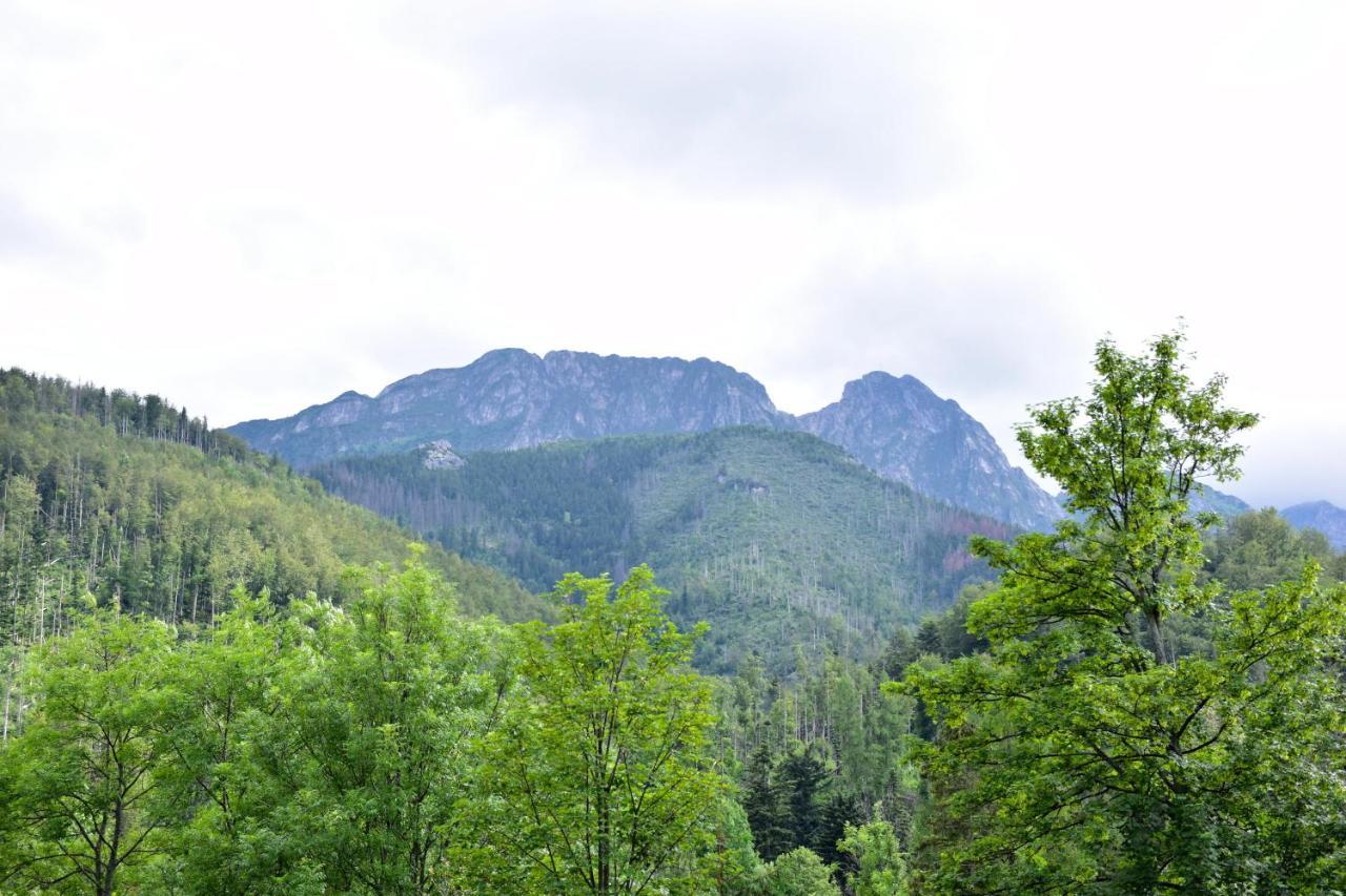 Willa Halka Zakopane Exterior photo